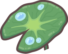 Lotus Leaf Umbrella